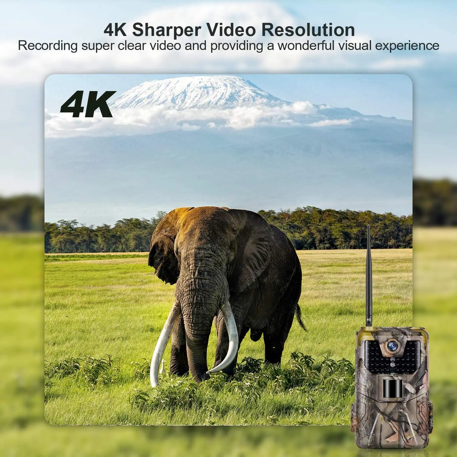 SuntekCam Trail Camera Sync APP Game Camera 4G 4K